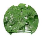 Muro Inglês Com Folha De Hera Artificial 3 M X 1 M