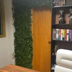 Muro Inglês Jardim Vertical Natural Preservado Desidratado