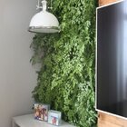 Muro Inglês Jardim Vertical Natural Preservado Desidratado