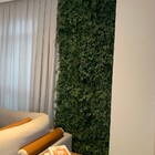 Muro Inglês Jardim Vertical Natural Preservado Desidratado