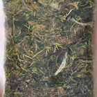 Musgo Verde Esfagno Para Orquídeas - 4 Litros - Substrato