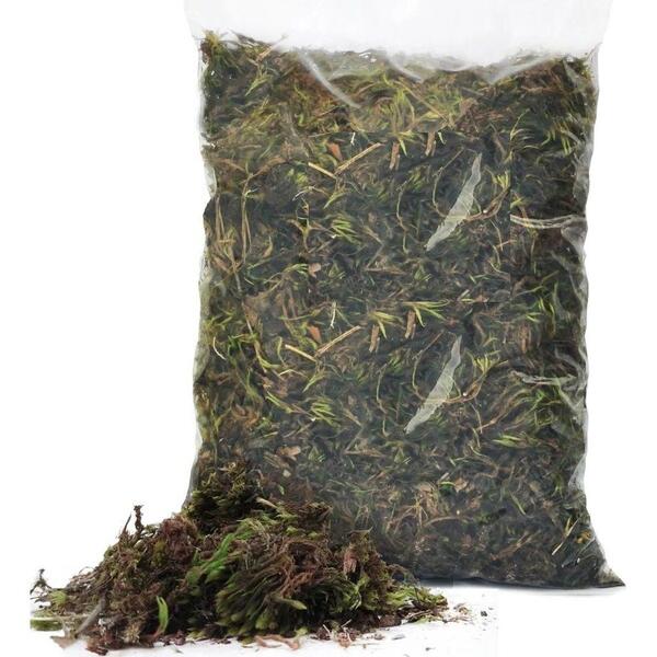 Musgo Verde Esfagno Para Orquídeas - 4 Litros - Substrato