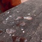 Nano4you - Duramax Shine Decks & Madeiras 1l