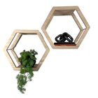 Nicho Aéreo Heksa Pinus