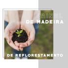 Nicho Aéreo Mdf Branco 20cm Carraro