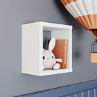 Nicho Flocos Casa 812