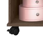 Nicho Organizador 1478 Com 9 gavetas - Qmovi