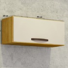 Nicho Para Cozinha 1 Porta - Maísa-cinamomo/off - Chf Móveis