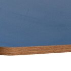 Nicho Para Gatos Grandes Frédy - Frente Grade C 44cm X P 38cm