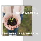 Nicho Toalheiro Milla Nogal 20cm Carraro