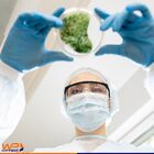 Óculos De Proteção Incolor Para Mecânicos Eletricistas