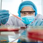 Óculos De Proteção Incolor Segurança Com Ajuste 10 Peças