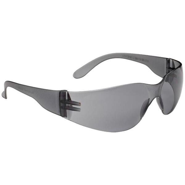 Óculos De Proteção Uvex Coleção Básica Xv100 Honeywell