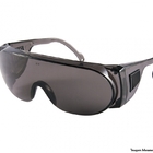 Oculos Protecao Panda Fume