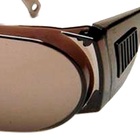 Oculos Protecao Panda Fume