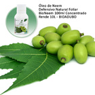 Óleo De Neem Defensivo Natural Foliar Bioneem 100ml Concentra