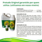 Óleo De Neem Inseticida Natural Contra Pragas