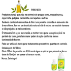 Óleo De Neem Inseticida Natural Contra Pragas