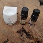 Óleo Essencial Lemongrass - Via Aroma  10ml