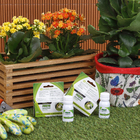 Óleo Neem Concentrado 30ml Forth