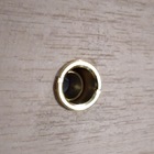 Olho Magico Visor De Porta E Portão Acabamento Dourado