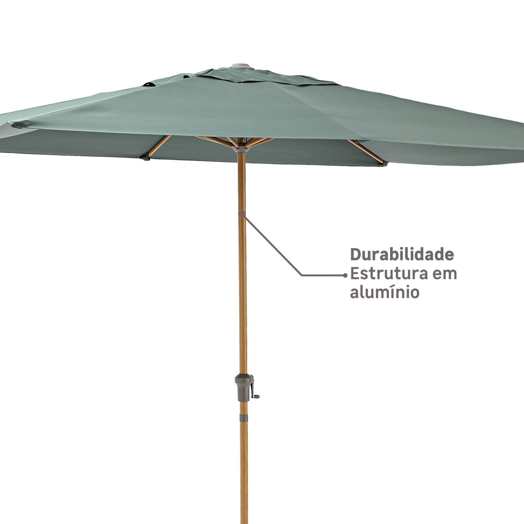 AQUI_VAI_DESCRIÇÃO_DA_IMAGEM