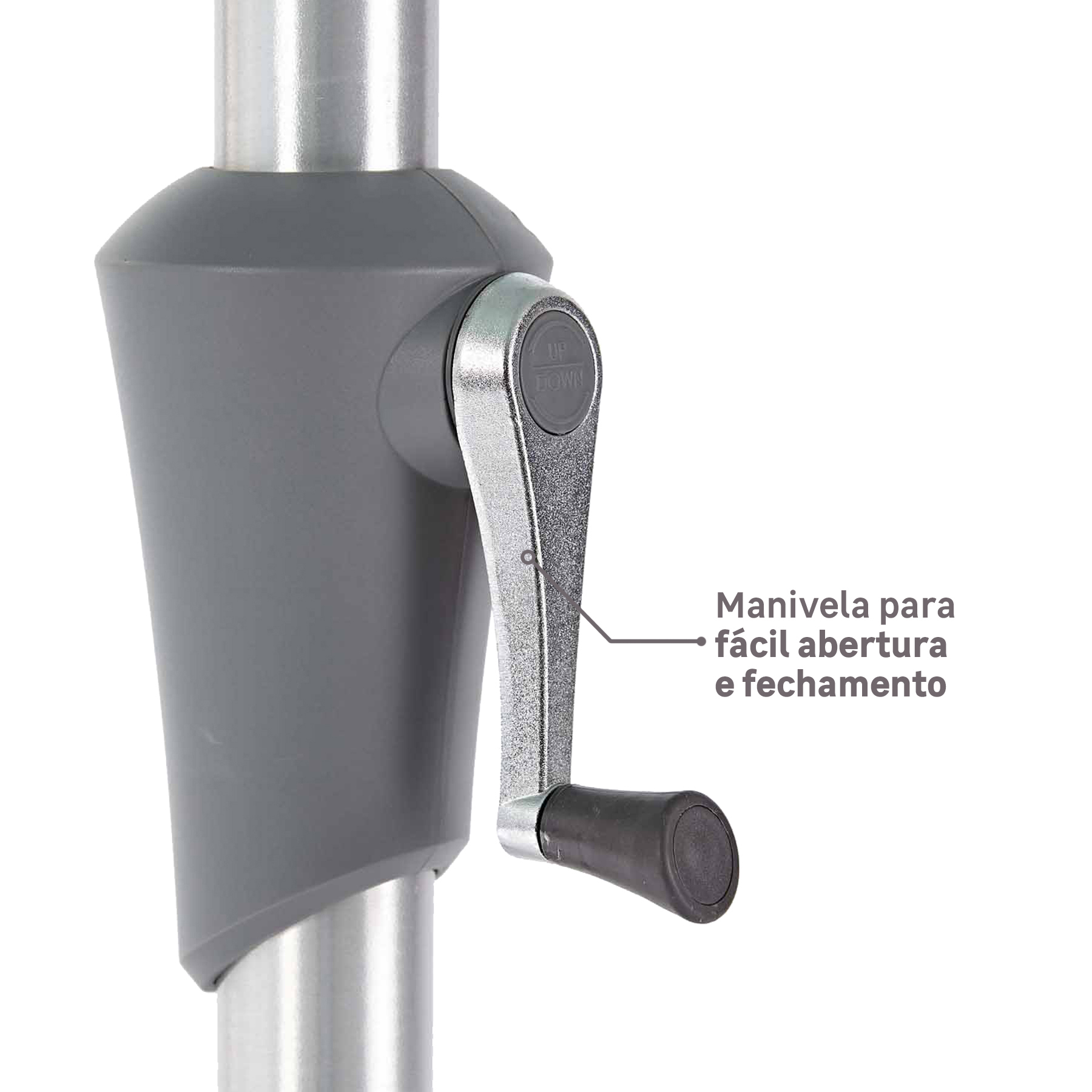 AQUI_VAI_DESCRIÇÃO_DA_IMAGEM