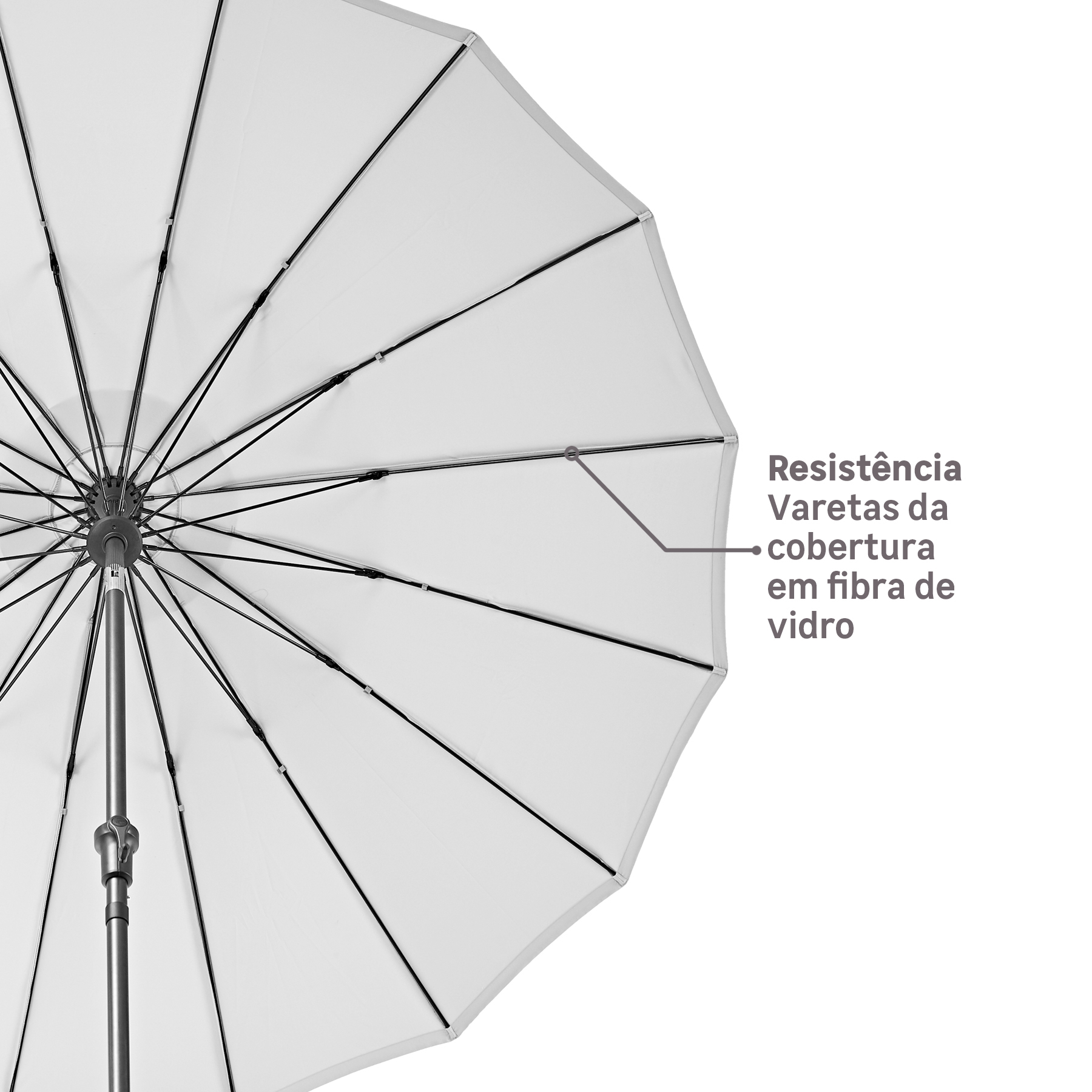 AQUI_VAI_DESCRIÇÃO_DA_IMAGEM