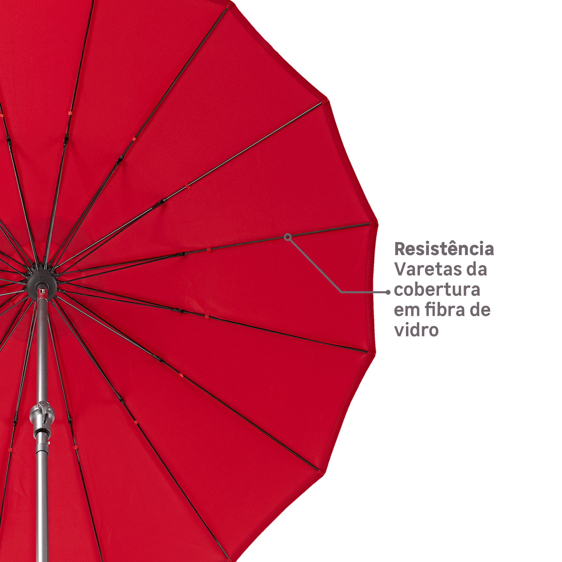 AQUI_VAI_DESCRIÇÃO_DA_IMAGEM