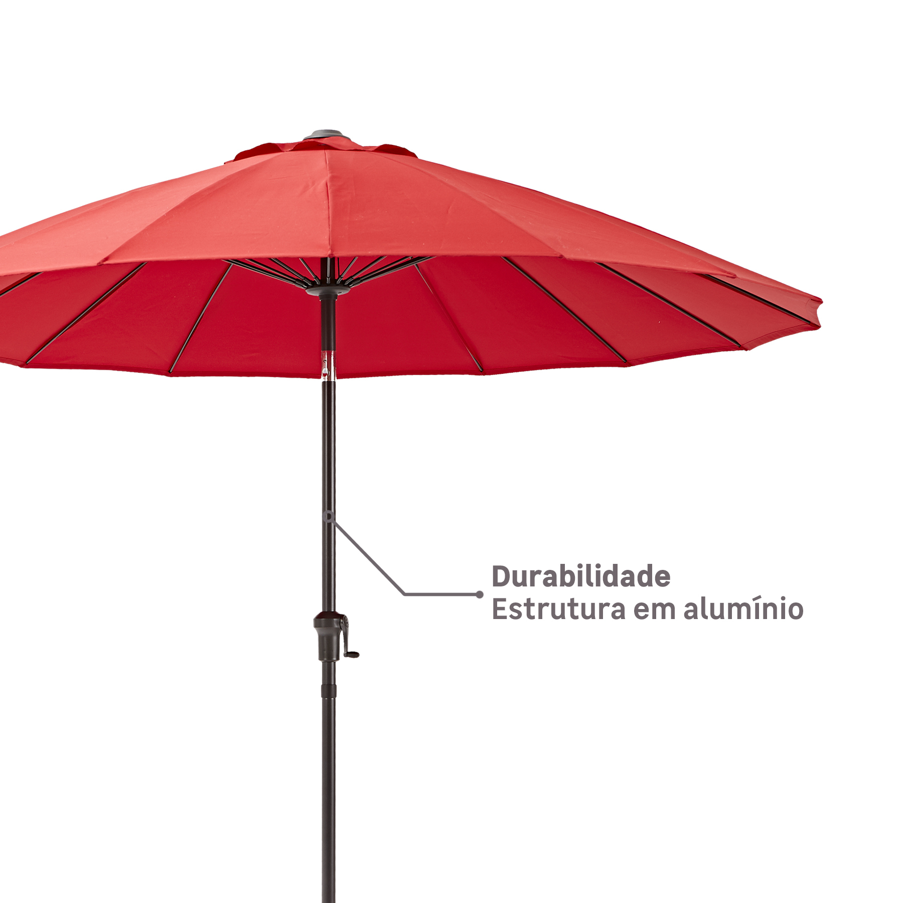 AQUI_VAI_DESCRIÇÃO_DA_IMAGEM