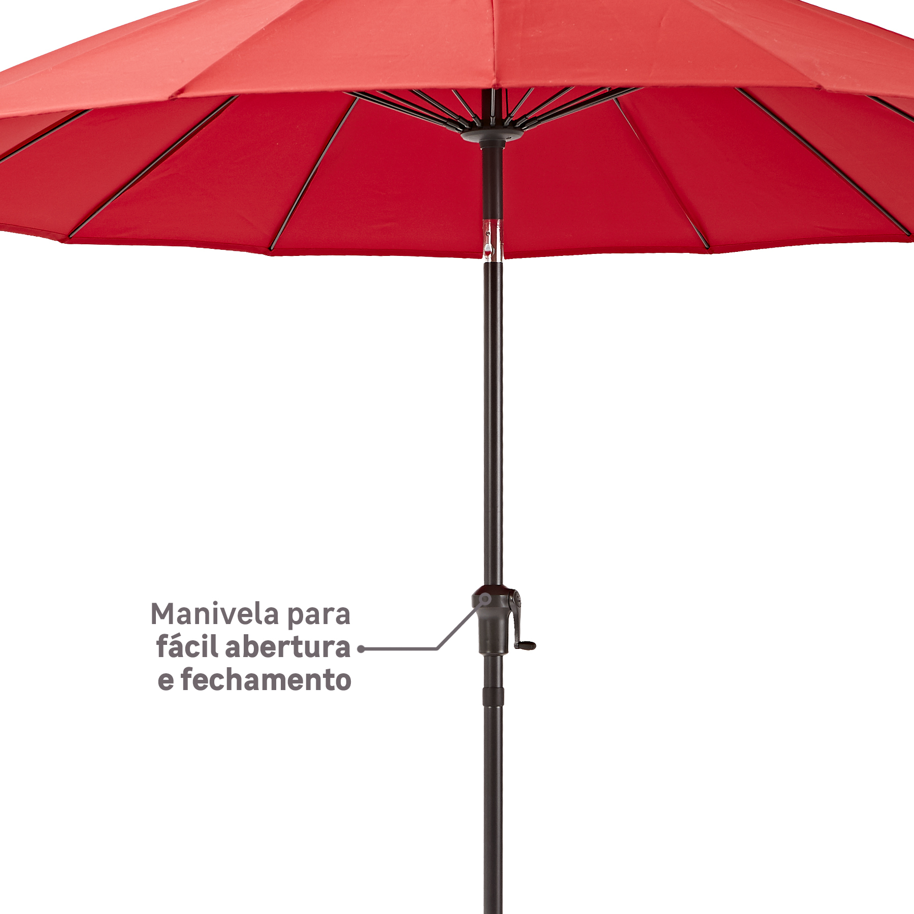 AQUI_VAI_DESCRIÇÃO_DA_IMAGEM