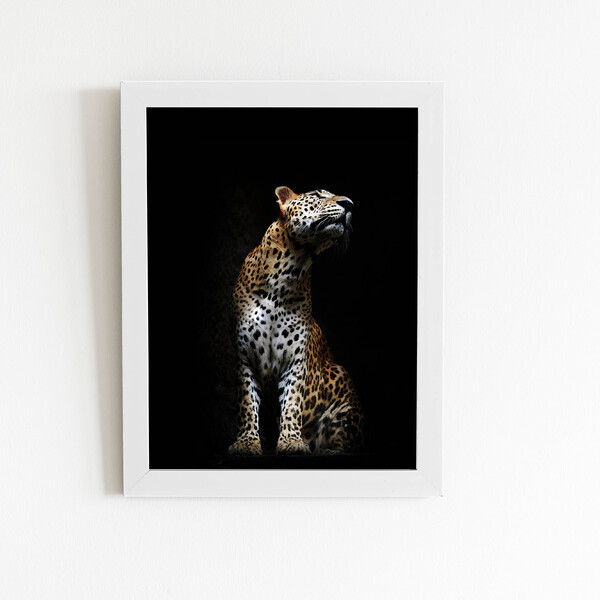 Onça Pintada Foto Minimalista Quadro Moldura Branca 60x40cm