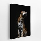 Onça Pintada Fotografia Minimalista Quadro Canvas 100x70cm