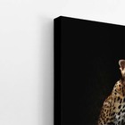 Onça Pintada Fotografia Minimalista Quadro Canvas 100x70cm