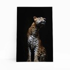 Onça Pintada Fotografia Minimalista Quadro Canvas 140x90cm