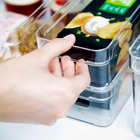 Organizador  de Plástico Clear 30x10x7cm Translúcido OU