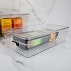 Organizador Clear Com Tampa Natural Oc 250 Ou