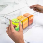 Organizador Clear Com Tampa Natural Oc 250 Ou