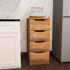 Organizador Com 04gaveta Novidade