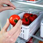 Organizador De Geladeira Com Escorredor Interno 5l Caixa Plás