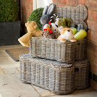 Organizador Pet Toy Boy Ziggy