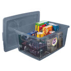 Organizador Plastico 30l Camurça - Ordene