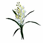 Orquídea Artificial 8 Unidades - Qualidade Superior E Acabame