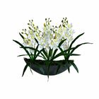 Orquídea Artificial 8 Unidades - Qualidade Superior E Acabame