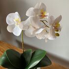 Orquídea Branca Artificial Arranjo No Vaso Espelhado Flores P