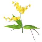 Orquídea Chuva de Ouro Amarelo 37cm Flor Arte