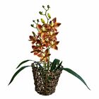 Orquídea Dançante Artificial 4 Unidades Fácil De Ajustar E Ma