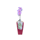 Orquídea no Cone 9cm Sortida Pote 12 Planta Natural