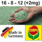 Osmocote Fertilizante Basacote Plus 16+8+12+2mg 6 Meses 500g