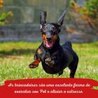 Osso Especial Borracha N2 - M